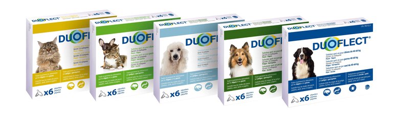 Duoflect - Pipettes Antiparasitaire de 2 à 10Kg pour Chien et Chat - x6 Image numéro 2 Duoflect - Pipettes Antiparasitaire de 2 à 10Kg pour Chien et Chat - x6 Image numéro 2