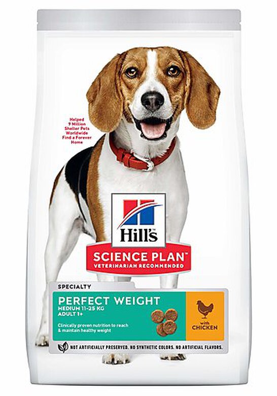Hill's - Canine Adult Perfect Weight Medium Poulet pour Chien - 12Kg image number null