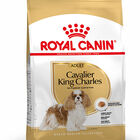 Royal Canin - Croquettes Cavalier King Charles Adult - 1,5Kg image number null