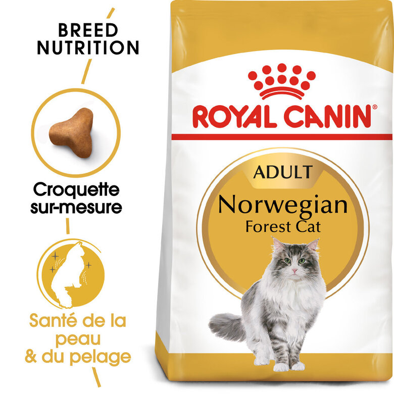 Royal Canin - Croquettes Norwegian Adult pour Chat - 2Kg Image numéro 1 Royal Canin - Croquettes Norwegian Adult pour Chat - 2Kg Image numéro 1