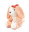 Animalis - Jouet Lapin Calin Laine Recyclée pour Chiens - 21cm Indicateur image numéro 2