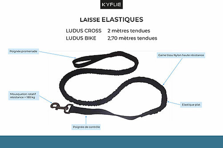 Kyflie - Laisse élastique Anti-chocs LUDUS CROSS Noir pour Chien - 2m image number null