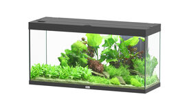 Aquatlantis - Aquarium SPLENDID 120 Led 2.0 Equip&eacute; Noir - 240L