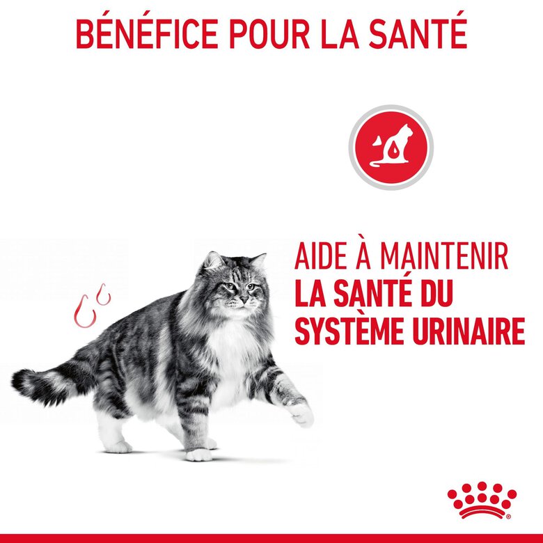 ROYAL CANIN -  SACHET FRAICHEUR URINARY EN GELEE CHAT ADULTE SANTE URINAIRE - 12x85g image number null