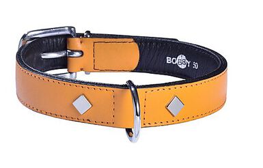 Bobby - Collier Tomy Moutarde pour Chiens - 35cm