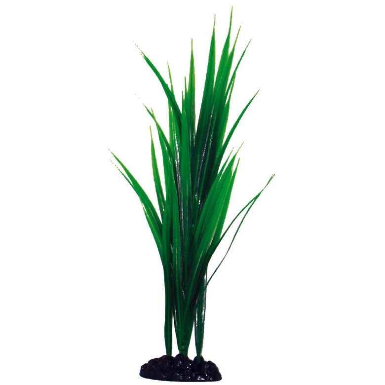 Amtra - Décoration Plante Classic Bamboo - L Image numéro 1 Amtra - Décoration Plante Classic Bamboo - L Image numéro 1