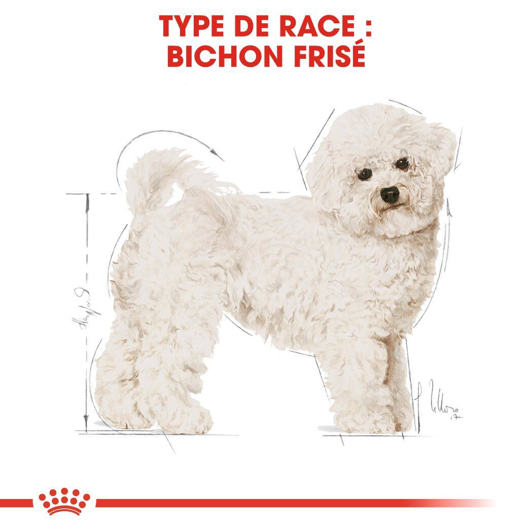 Royal Canin - Croquettes Bichon Fris&eacute; pour Chien Adulte - 1,5Kg Image num&eacute;ro 3