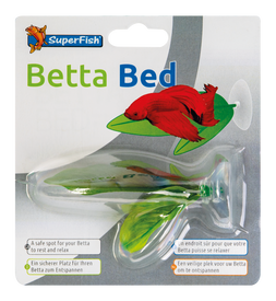 Superfish - Repose Betta Bed pour Combattant ou Betta