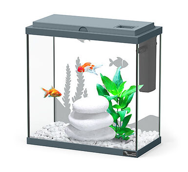 Animalis - Aquarium Dory Fond Sablé Bleu pour Poissons - 10L