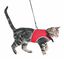 Trixie - Harnais Doux et Laisse de 1,20m pour Chat - 24/42cm Indicateur image numéro 2