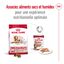 Royal Canin - Croquettes Medium Ageing 10+ pour Chien Senior - 3Kg Indicateur image num&eacute;ro 8