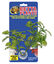 Zoomed - Plante artificielle avec ventouse pour aquarium - Window leaf Indicateur image numéro 1
