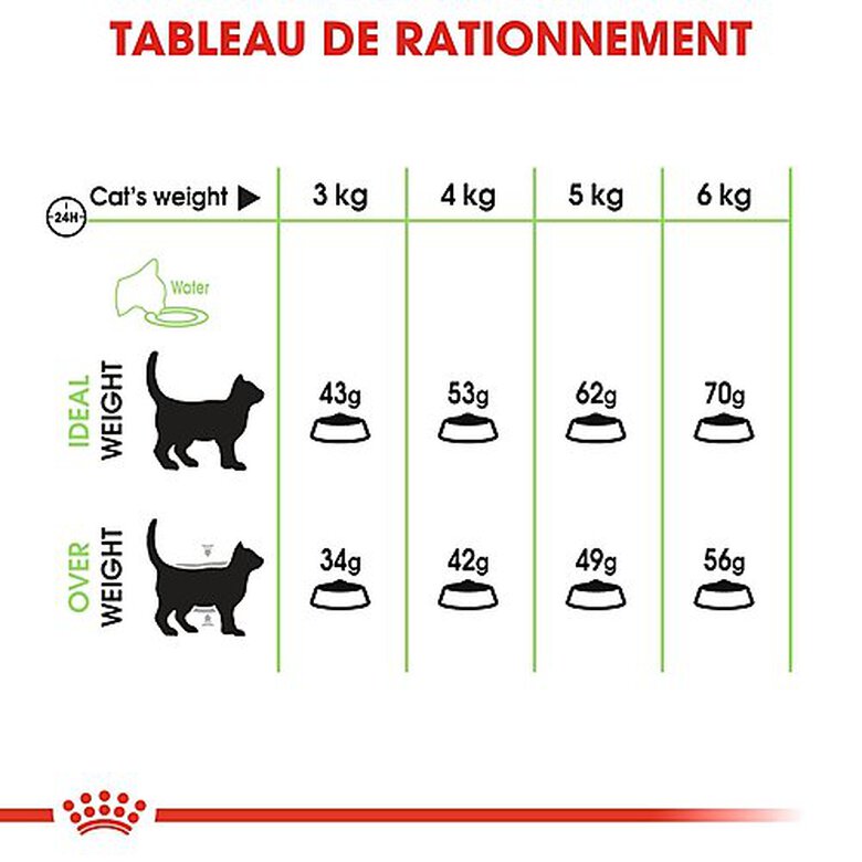 Royal Canin - Croquettes Digestive Care pour Chat - 4Kg image number null