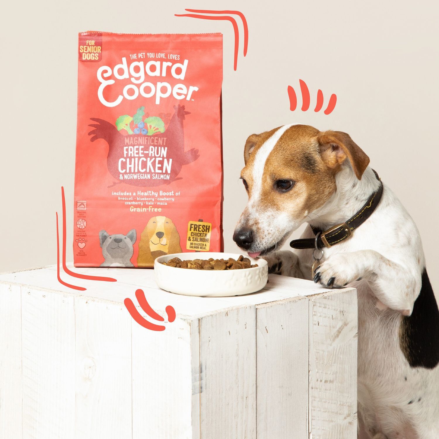 Edgard & Cooper - Croquettes Poulet et Saumon pour Chien Senior - 700g Image num&eacute;ro 3