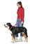 Hunter - Laisse Réglable Swiss en Cuir de Bœuf Rouge/ Noir - 1,8x200cm Indicateur image numéro 2