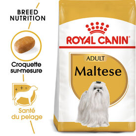 Royal Canin - Croquettes Maltese Adult Bichon Maltais pour Chiens - 1,5Kg