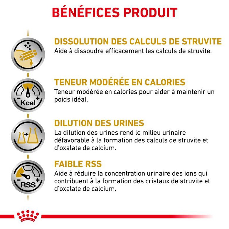 Royal Canin - Croquettes Veterinary Diet Urinary S/O Moderate Calorie pour Chien - 1,5Kg Image numéro 4 Royal Canin - Croquettes Veterinary Diet Urinary S/O Moderate Calorie pour Chien - 1,5Kg Image numéro 4