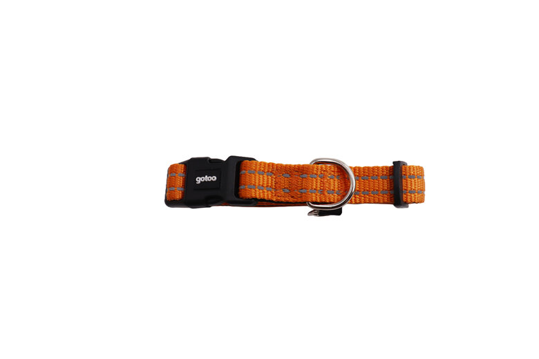 Gotoo - Collier Essentials en Nylon Premium Orange pour Chien - XS Image numéro 1 Gotoo - Collier Essentials en Nylon Premium Orange pour Chien - XS Image numéro 1