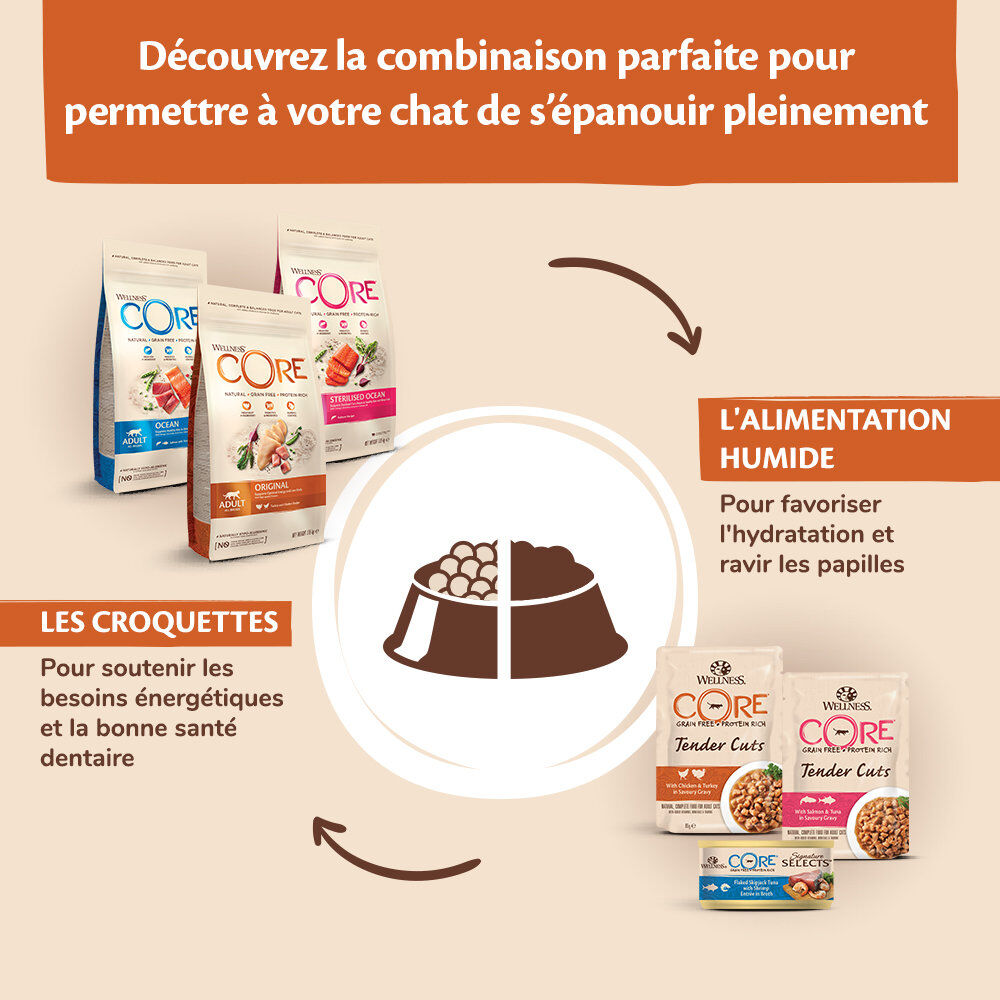 Wellness CORE - Croquettes Original Dinde et Poulet pour Chat - 4Kg Image num&eacute;ro 6