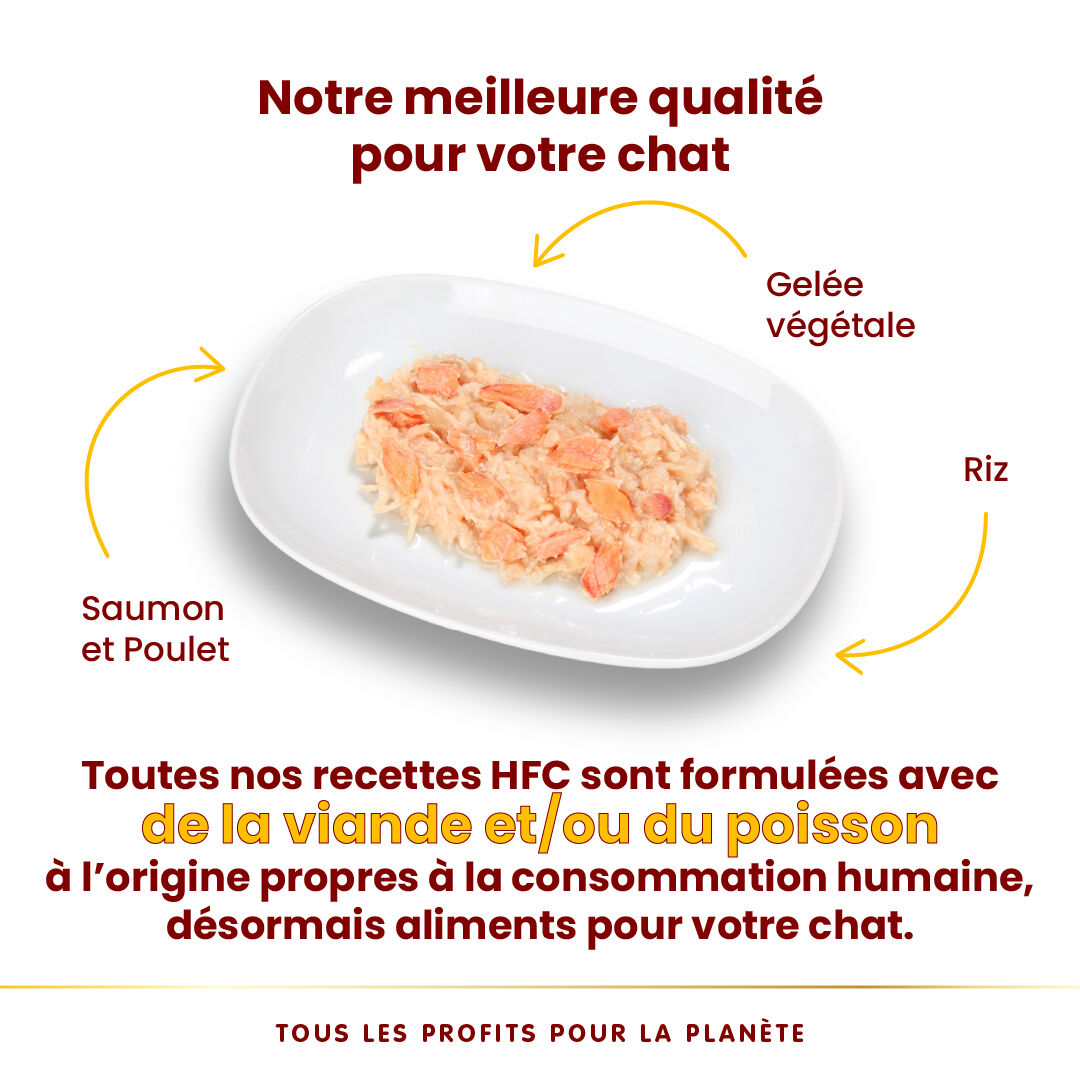 Almo Nature - P&acirc;t&eacute;e en Bo&icirc;te HFC Jelly Saumon et Poulet pour Chat - 70g Image num&eacute;ro 3