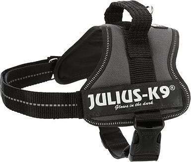 Julius-K9 - Harnais Baby 1 XS de 29-36cm pour Chien - Anthracite