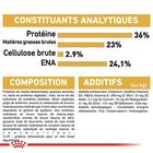 Royal Canin - Croquettes Maine Coon pour Chaton - 4Kg image number null