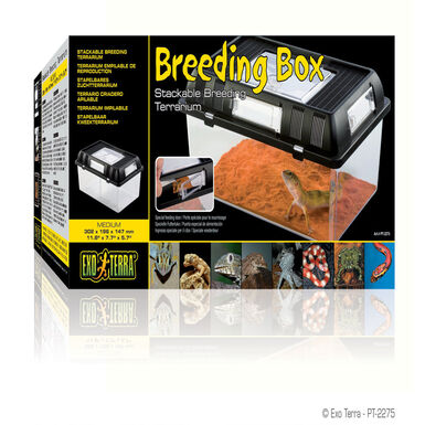 Exo Terra Breeding Box Medium
