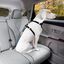 Kurgo - Attache Sécurité Direct Seat-belt Voiture pour Chien - Bleu Indicateur image numéro 4