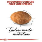 Royal Canin - Croquettes Persian pour Chat Adulte - 10Kg image number null