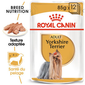 Royal Canin - Pâtée en mousse YORKSHIRE ADULT pour chiens - 12X85G