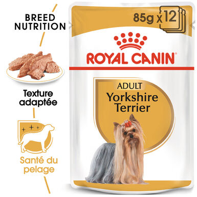 Royal Canin - Pâtée en mousse YORKSHIRE ADULT pour chiens - 12X85G