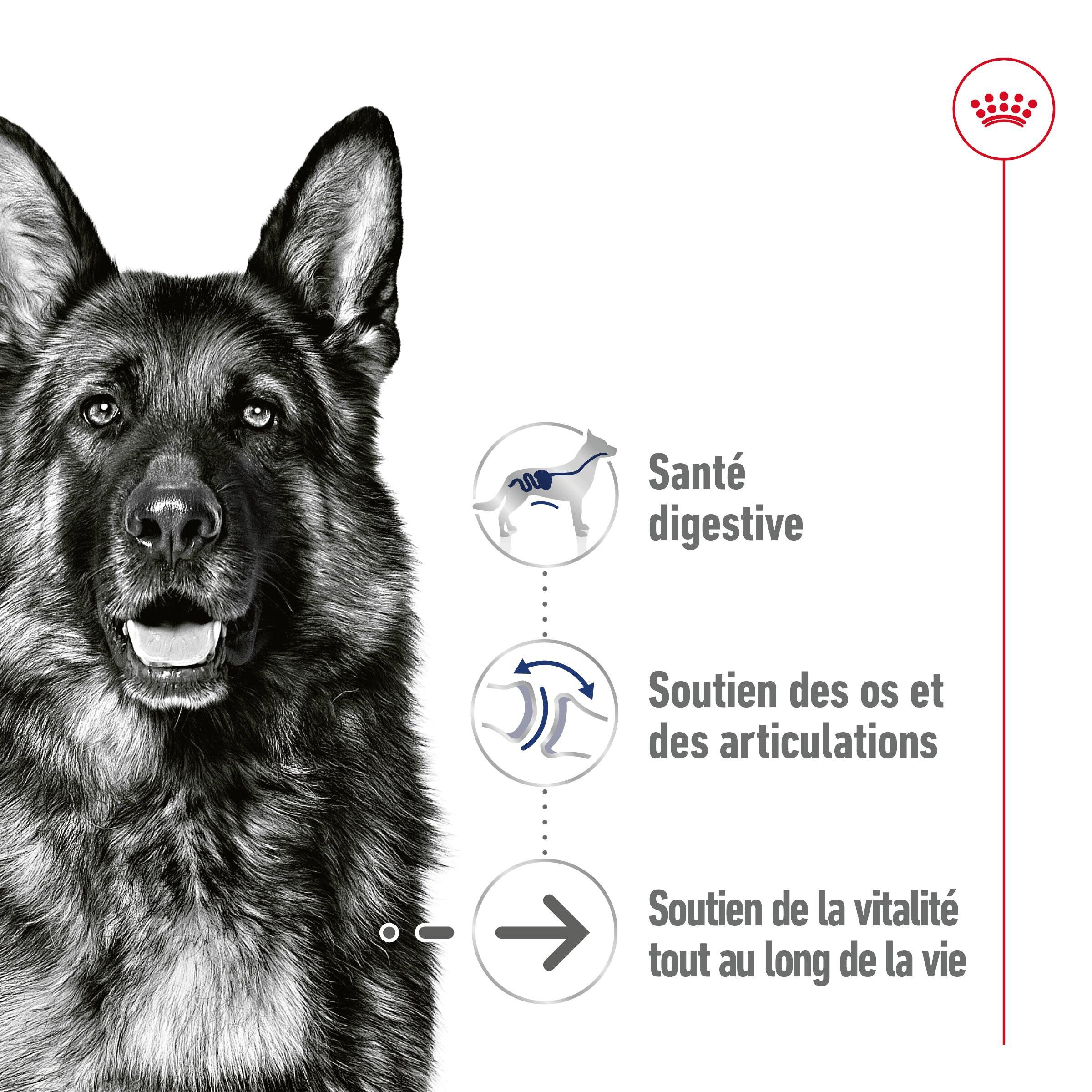 Royal Canin - P&acirc;t&eacute;e en Mousse Maxi Adult Ageing L - 410g Image num&eacute;ro 3