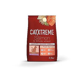CatXtreme - Croquettes Adult Sterilised au Saumon Frais pour Chat