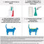 Frontline - Pipettes Antiparasitaires Traitement Prévention pour Chat - 6x0,5ml Indicateur image numéro 3