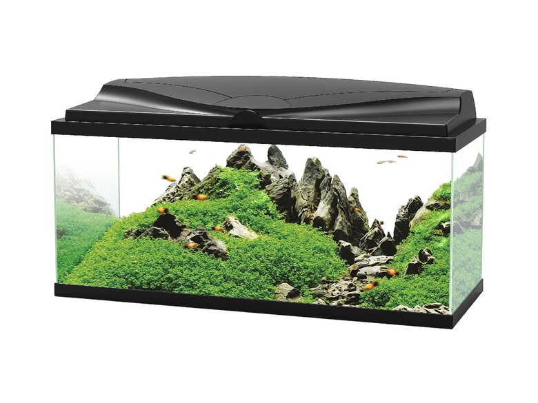 Ciano - Aquarium 80 LED Noir - 80X30X41,5CM Image numéro 2 Ciano - Aquarium 80 LED Noir - 80X30X41,5CM Image numéro 2