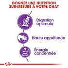 Royal Canin - Croquettes Sensible 33 pour Chat Adulte - 2Kg image number null