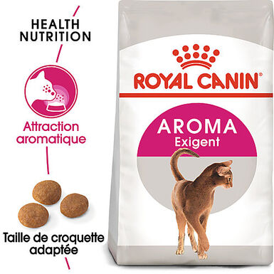 Royal Canin - Croquettes AROMA EXIGENT pour CHAT DIFFICILE - 4Kg