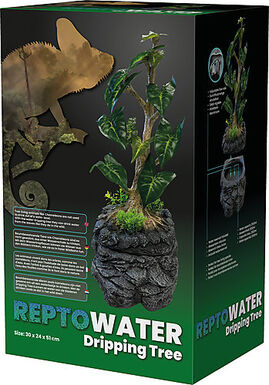 Repto - Arbre à Gouttes D'Eau - Réptiles