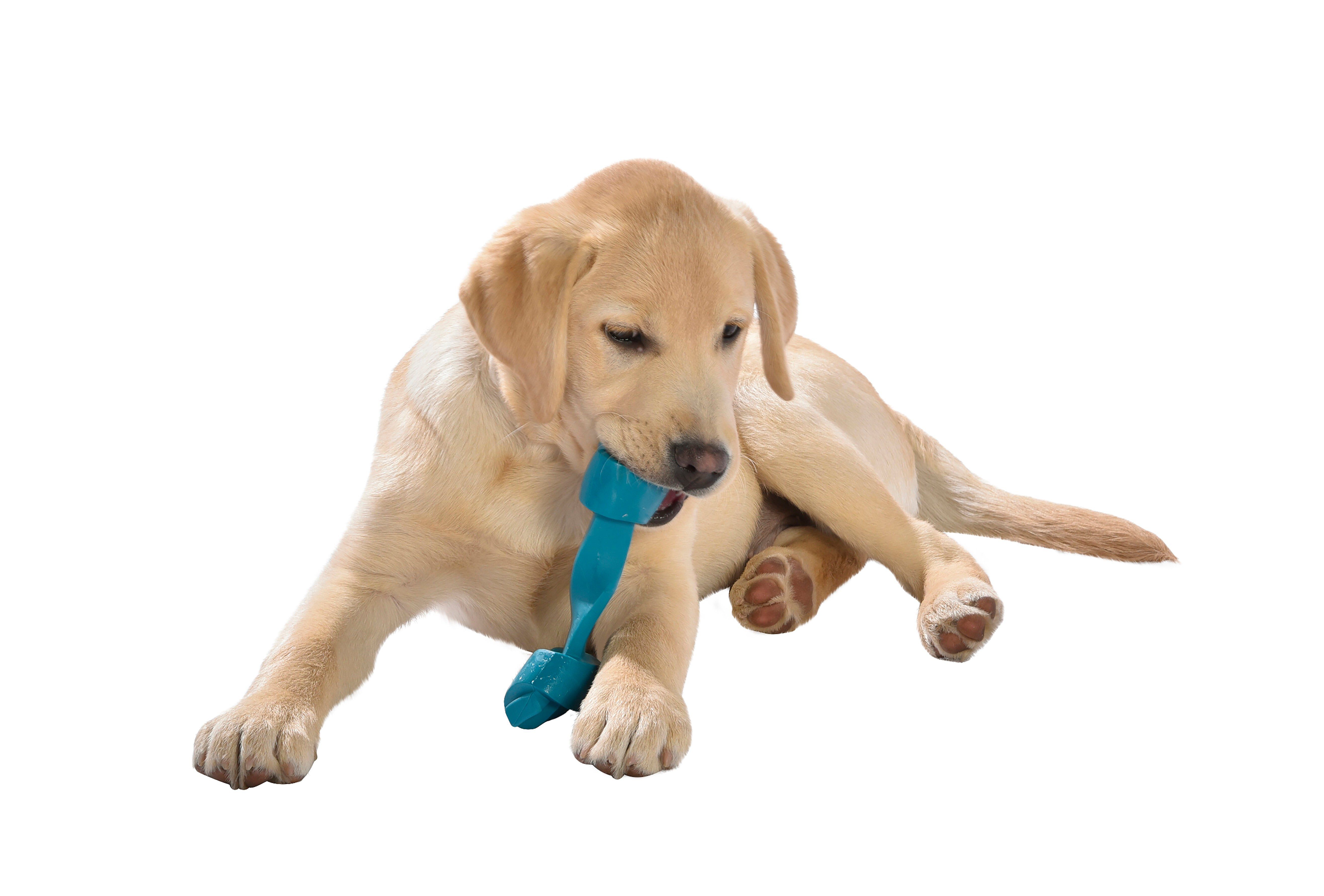 Croci - Jouet Os En Caoutchouc Bleu pour Chiens - 13cm Image num&eacute;ro 2