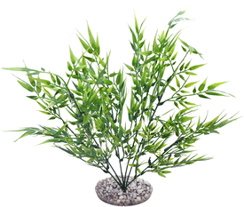 Labeo - Fond de décor - Plante Artificielle Aquarium