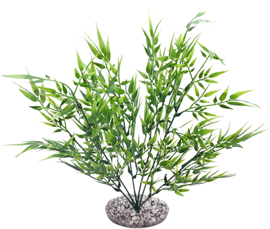 Labeo - Fond de décor - Plante Artificielle Aquarium
