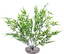 Labeo - Fond de décor - Plante Artificielle Aquarium Indicateur image numéro 1