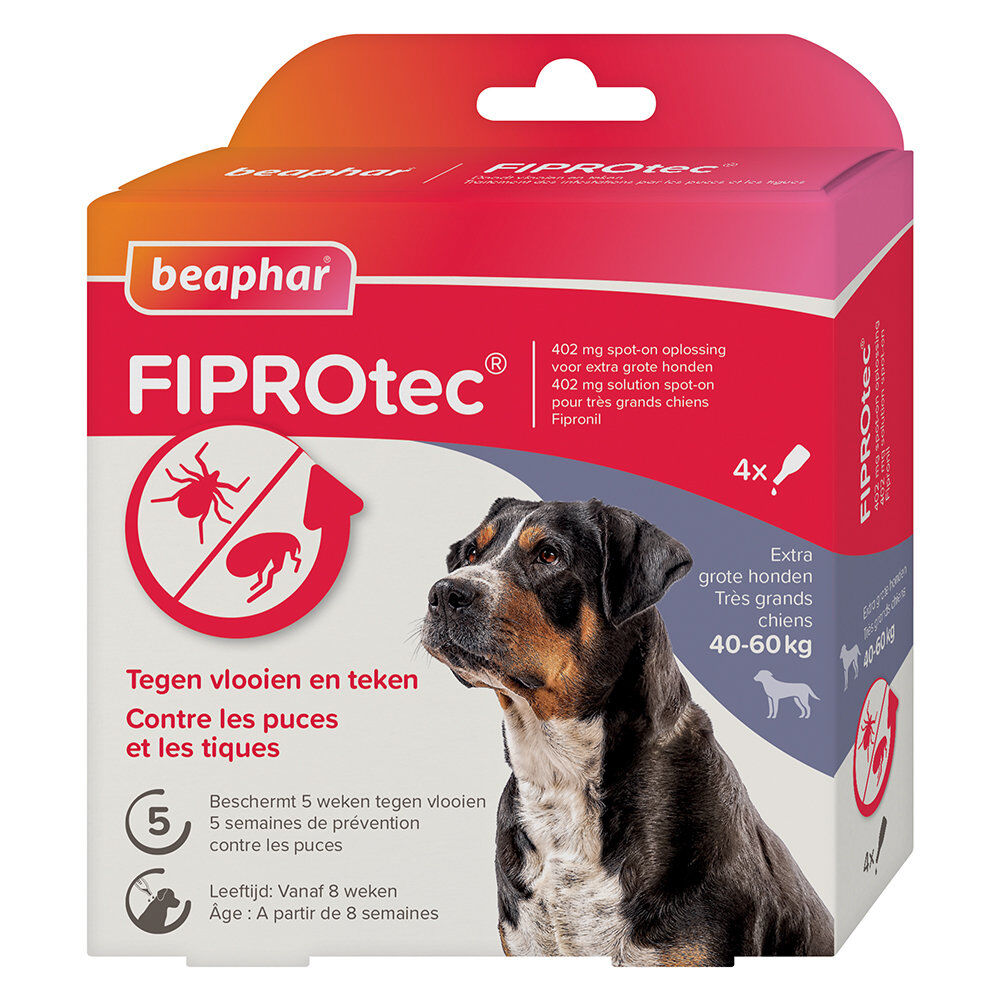 Beaphar - Pipettes Antiparasitaires Fiprotec pour Tr&egrave;s Grand Chien - X4 Image num&eacute;ro 1