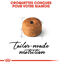 Royal Canin - Croquettes Siamese Adult pour Chats - 2Kg Indicateur image numéro 3