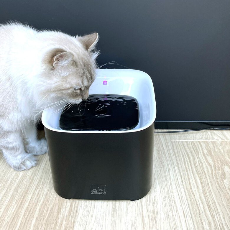 Ebi - Fontaine A Eau Manoa 3l - 20,5x20,5x18cm Noir/Blanc Image numéro 7 Ebi - Fontaine A Eau Manoa 3l - 20,5x20,5x18cm Noir/Blanc Image numéro 7