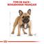 Royal Canin - Croquettes Bouledogue Français pour Chien Adulte - 3Kg Indicateur image numéro 3