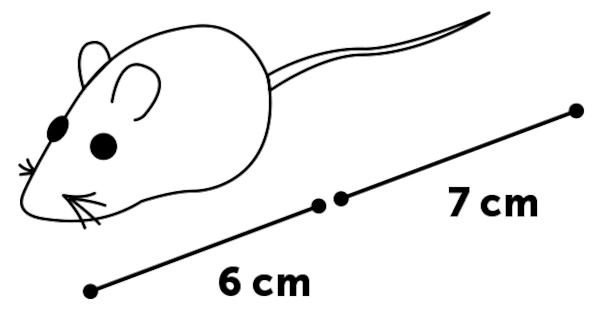 Flamingo - Jouet Bernard Souris pour Chats - 6cm Image num&eacute;ro 7