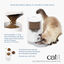 Catit - Distributeur de Nourriture Pixi Smart Wifi pour Chat - 1,2Kg Indicateur image numéro 2