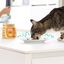 Edgard & Cooper - Barquette à la Dinde et Crevettes pour Chat - 85g Indicateur image numéro 3