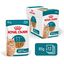 Royal Canin - Pâtée en Sauce Ageing 11+ pour Chats Senior - 12x85g Indicateur image numéro 3